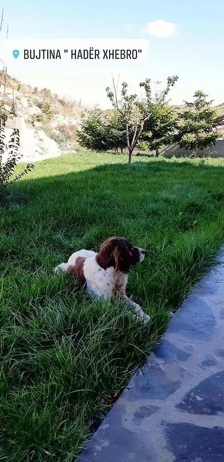 A Pousada Bujtina Hader Xhebro Tepelene Albergue