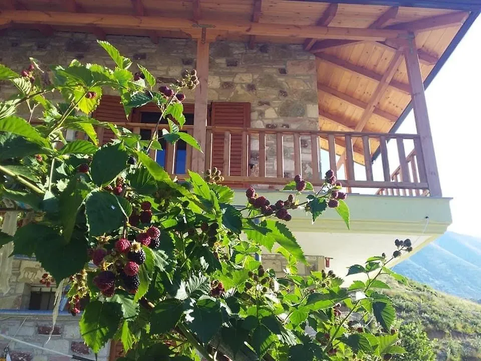 Bujtina Hader Xhebro Hostel Tepelene 0*,  Albania